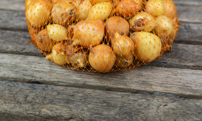 Farming,cultivation, agriculture and vegetables concept: small onion in a plastic netting bags,prepared for planting in the garden on a wooden table.
