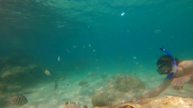 4k Slowmotion shot of young caucasian man snorkeling in a mask and breathing tube in a a beautiful sea with lots of tropical fishes