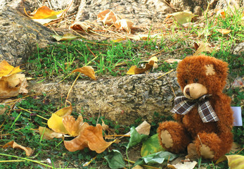 little brown teddybear sits alone in the park 