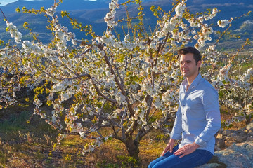 Portrait of a boy posing next to a cherry tree in bloom.