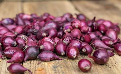  Farming,cultivation, agriculture and vegetables concept: seedlings of small red onions prepared for planting on a background of wooden boards.