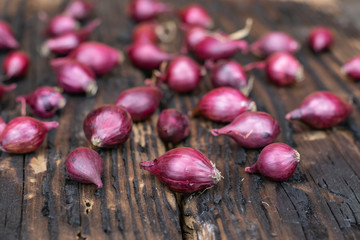  Farming,cultivation, agriculture and vegetables concept:  small red onion for planting on a background of burnt wood.