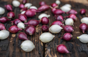 Farming,cultivation, agriculture and vegetables concept: small red and white onion for planting on a background of burnt wood.