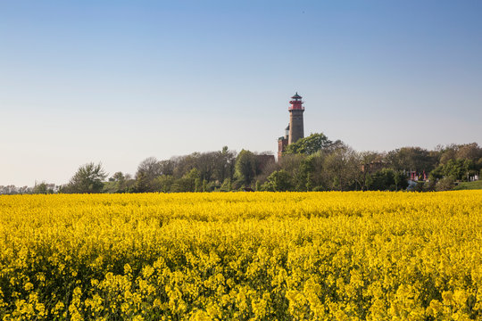 Germany, Ruegen, Cape Arkona, Cape Arkona Lighthouse and Schinkel Tower at oilseed field