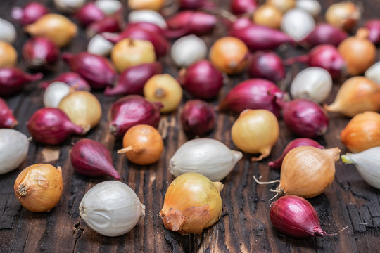  Farming,cultivation, agriculture and vegetables concept:  red,yellow and white onion for planting on a background of burnt wood.