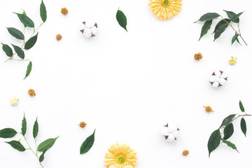Cotton flowers, gerbera, green leaves on white backlground, flat lay, top view
