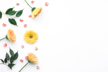 Yellow gerbera flowers on white background, flat lay, top view