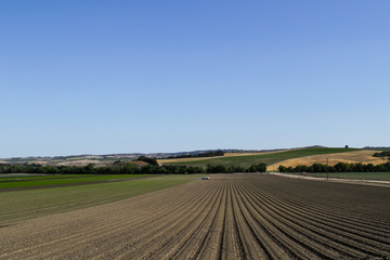 Fototapeta na wymiar Furrows in a plowed field prepared for planting crops in spring in California. Horizontal view in perspective