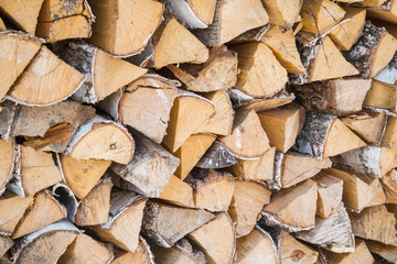 birch firewood in woodpile