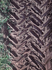 truck trails mud trails ground earth deep trails