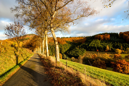 idillic autumn, sauerland germany. 
