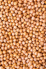 Chickpeas close up for use as a background