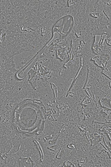 water drops on metal surface