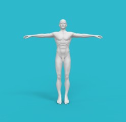 Human Man White  Body 3D Rendering