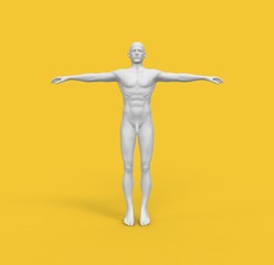 Human Man White  Body 3D Rendering