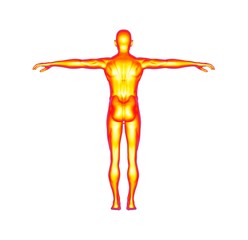Human Man Body 3D Rendering