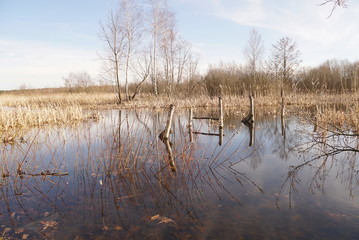 lake in the early spring