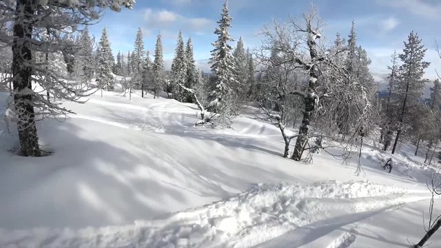 Freeride snowboarding at off piste backcountry. Sunny winter day with fresh white snow riding fast at the forest between trees and slopes. Filmed with gopro first person view. Ylläs Lapland Finland