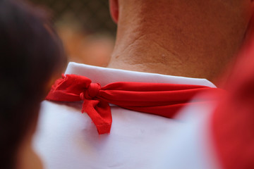 Fiestas de San Fermín, Sanfermines, Pamplona, España