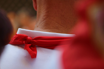 Fiestas de San Ferm&iacute;n, Sanfermines, Pamplona, Espa&ntilde;a