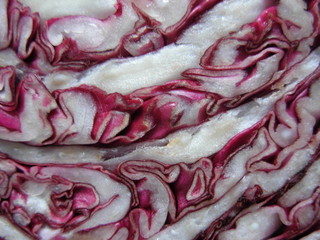 closeup of red cabbage