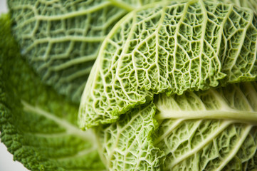 Fototapeta premium Savoy cabbage. The structure of the green leaf. Greenery. The background is natural. Fresh greens.