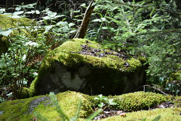Natur