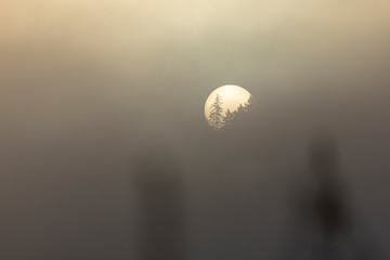 Sonnenaufgang bei starkem Nebel