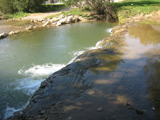 Obraz premium Mountain river in the forest.