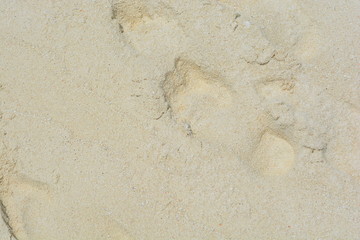 Meer und Küste