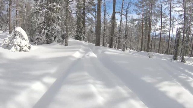 Freeride snowboarding at off piste backcountry. Sunny winter day with fresh white snow riding fast at the forest between trees and slopes. Filmed with gopro first person view. Ylläs Lapland Finland