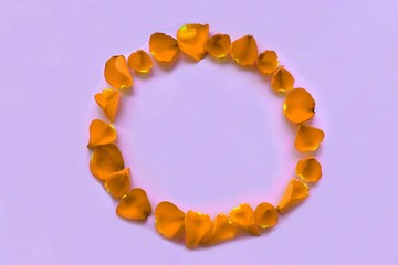 circle of rose petals