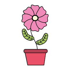 potted flower decoration