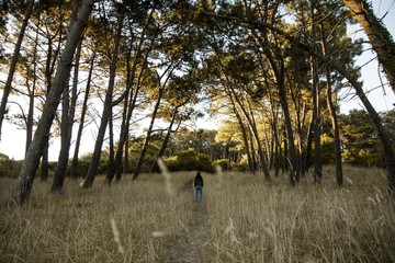  Girl with her back to the forest. Tranquility, peace, meditation.