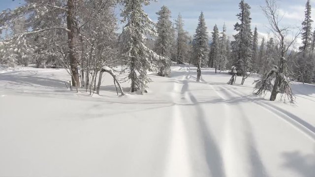 Freeride snowboarding at off piste backcountry. Sunny winter day with fresh white snow riding fast at the forest between trees and slopes. Filmed with gopro first person view. Ylläs Lapland Finland