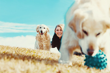 Perros graciosos. Golden retriever. Mujer joven y sus mascotas pasando un rato divertido al aire...