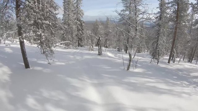 Freeride snowboarding at off piste backcountry. Sunny winter day with fresh white snow riding fast at the forest between trees and slopes. Filmed with gopro first person view. Ylläs Lapland Finland