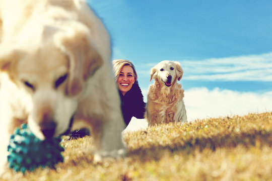 Perros graciosos. Golden retriever. Mujer joven y sus mascotas pasando un rato divertido al aire libre