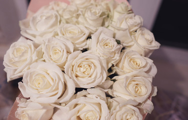 Obraz na płótnie Canvas beautiful white roses close up