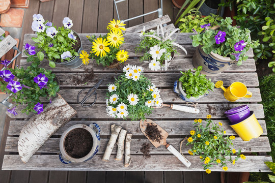 Different Summer Flowers And Gardening Tools On Garden Table