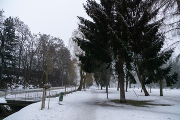 Park under the snow during winter. Slovakia