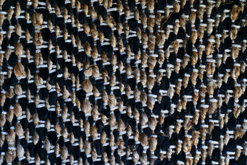 Obraz premium Teppich