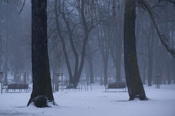 Park under the snow during winter. Slovakia