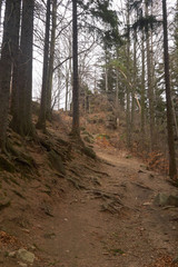 trail to the Sololik mountain in the Rudawy Janowickie mountains n Poland, forest path in the mountains