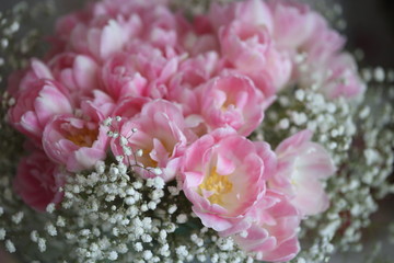 Gerberas flowers withering autumn rain