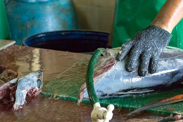 A male worker at the fish market in Male, Maldives, cutting a big tuna fish