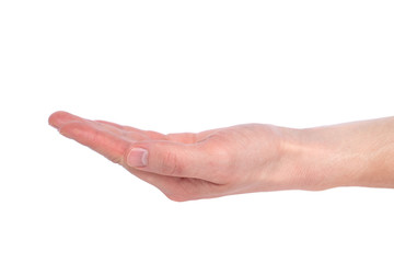 Close up hand with the palm up receiving or holding something. Isolated on white background.  Helping hand.