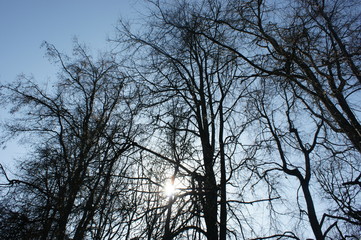 SONY DSC