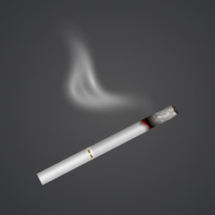 Realistic cigarette with smoke, fire isolated on background. Tobacco. Narcotic problem concept, Vector Eps 10 illustration