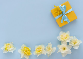 Gift box and white daffodils flowers. Beautiful gift box and fresh flowers on blue background